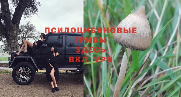 ГАЛЛЮЦИНОГЕННЫЕ ГРИБЫ Абинск