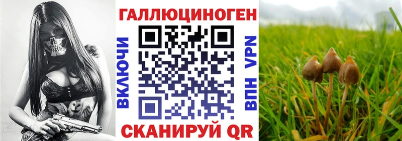 Галлюциногенные грибы GOLDEN TEACHER  продажа наркотиков  Питкяранта 