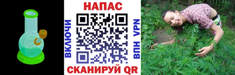 как найти закладки  ссылка на мегу онион  Канабис LSD WEED  Питкяранта 